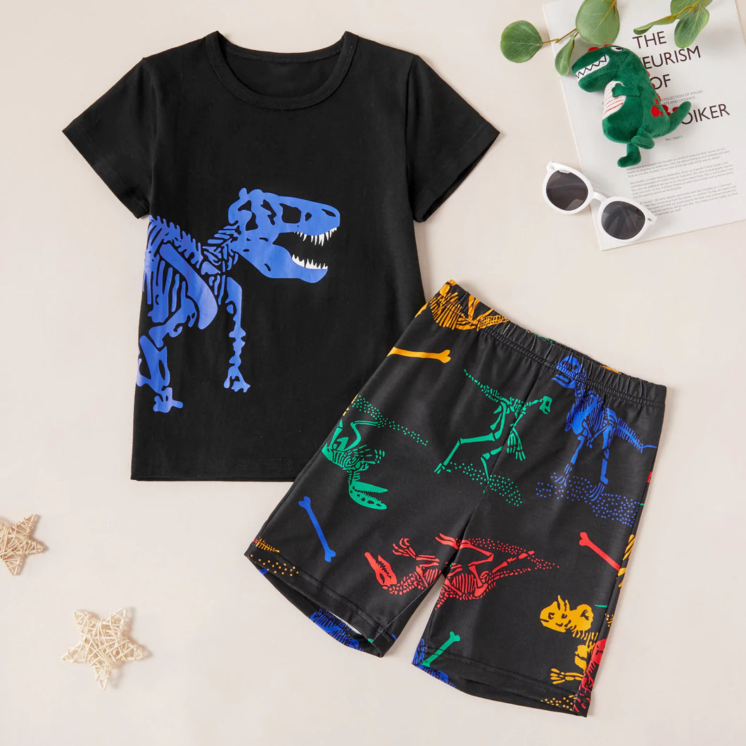 Dinosaur Tee and Shorts Matching Set